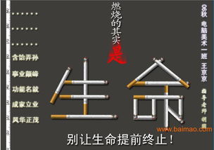 瀏陽市平面設(shè)計(jì)與軟件開發(fā) 融合創(chuàng)意與科技，打造品牌新動(dòng)力